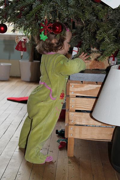 2013-12-27 Zelie en vadrouille, les frangins 012.JPG